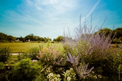 Parc de Rambouillet